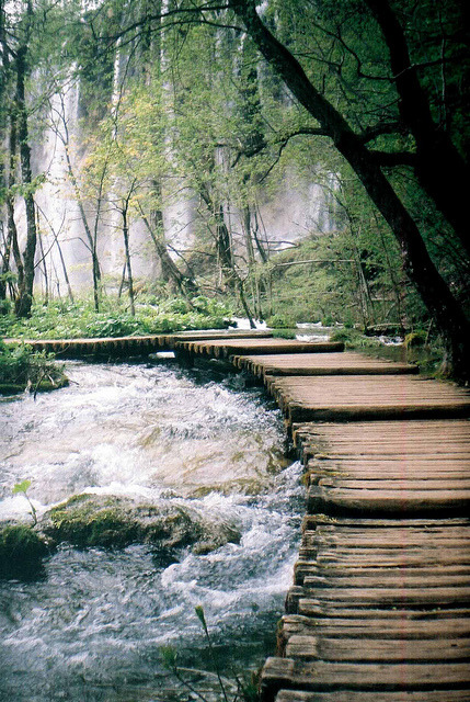 vacants:  Plitvice by NoCheesePlease-CapturingReality on Flickr. 