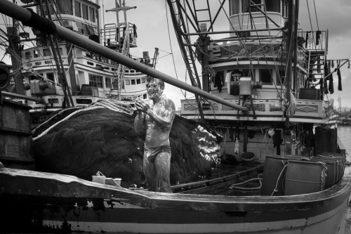 After a hard days work and after having unloaded their catch to the market on the Phuket pier, a fis