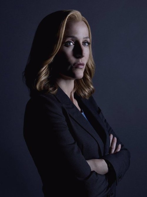 humancredentials:Gillian Anderson as Dana Scully (1993, 2015)