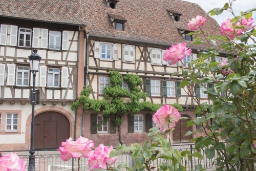 Wissembourg, France, May 2019