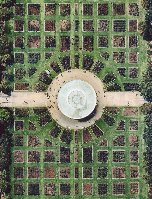 dianelikesart: Exposition Park Rose Garden in Los Angeles, California. 