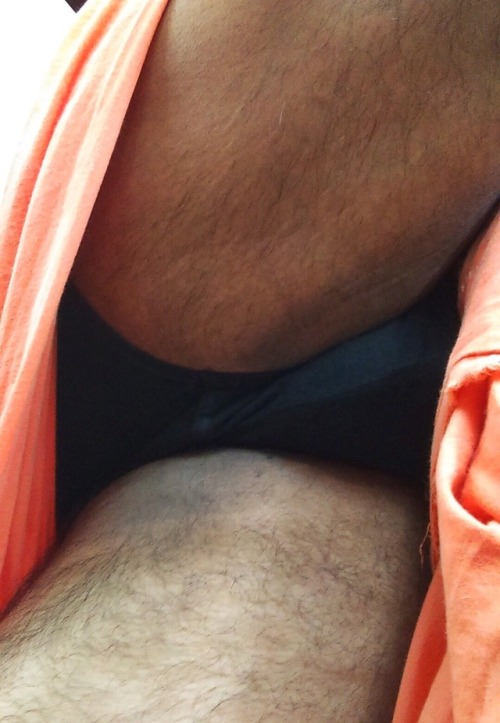 indianbears: submitted by Ben David bendavbear@gmail.com Probably the only dedicated INDIAN BEARS bl