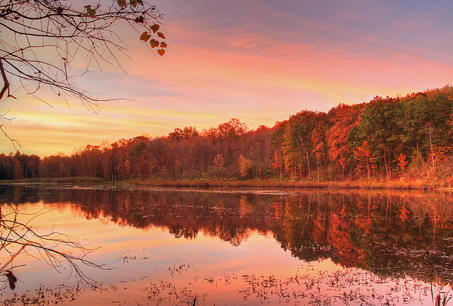 nobodybelievesyou:  Autumn Glow by Matt Champlin on Flickr.
