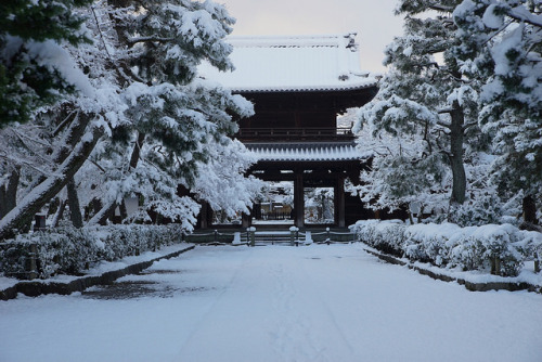 ourbedtimedreams:雪の建仁寺 by nobuflickr on Flickr.