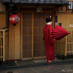 geisha-kai:  Maiko Momokazu at the entrance