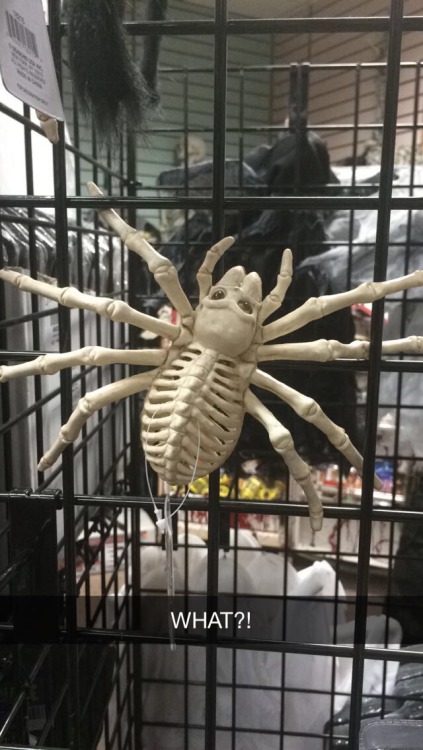 strega-saurus:  the-vegan-muser: The scariest part of Halloween is how anatomically incorrect these decorations are. They are very wrong, but I love them anyway 