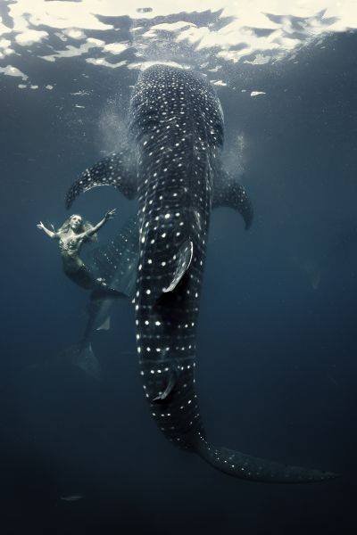 nahhak:  cirqueducupcake:  by Shawn Heinrichs ☽☮☾  This is 100% majestic