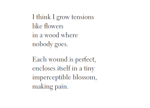 violentwavesofemotion:Robert Creeley, from The Complete and Collected Poems of Robert Creeley; “The 