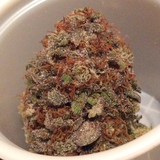 weedporndaily:  #Organic #TrainWreck  by kindlansing http://ift.tt/1uV6uvN 