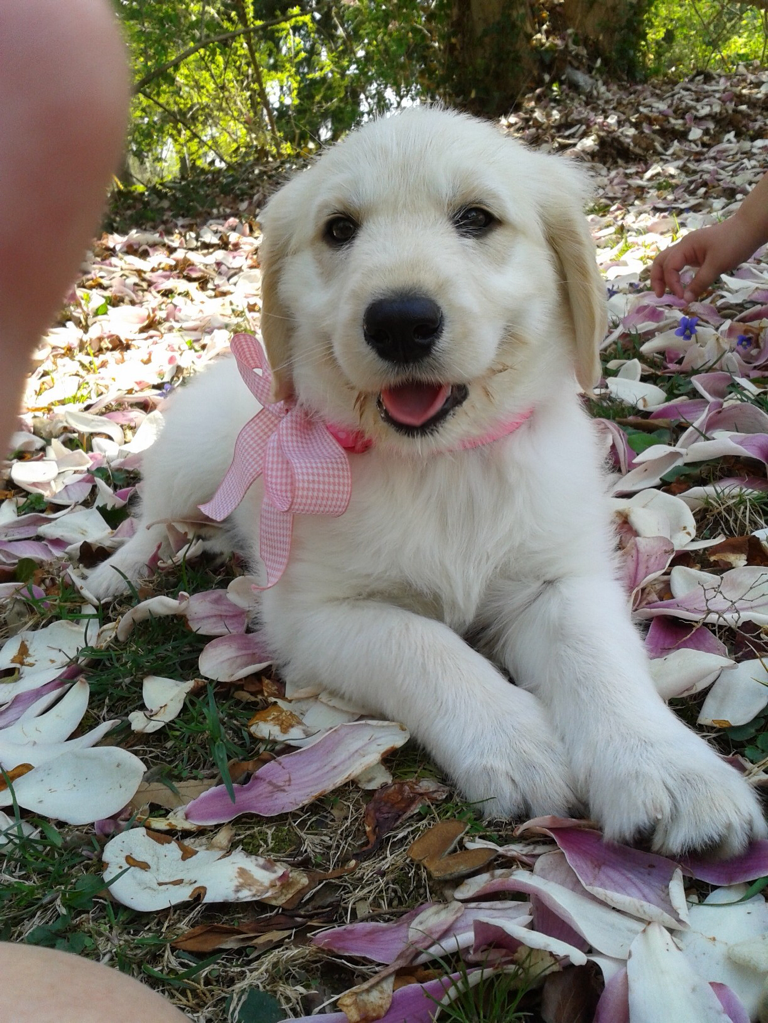 cute-overload:  Winter? No, Spring is coming.http://cute-overload.tumblr.com source: