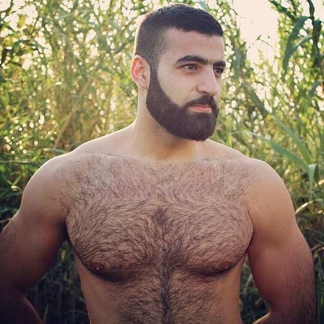 trabelsino:  tzaris:  by thebeardedhomo  Woof!