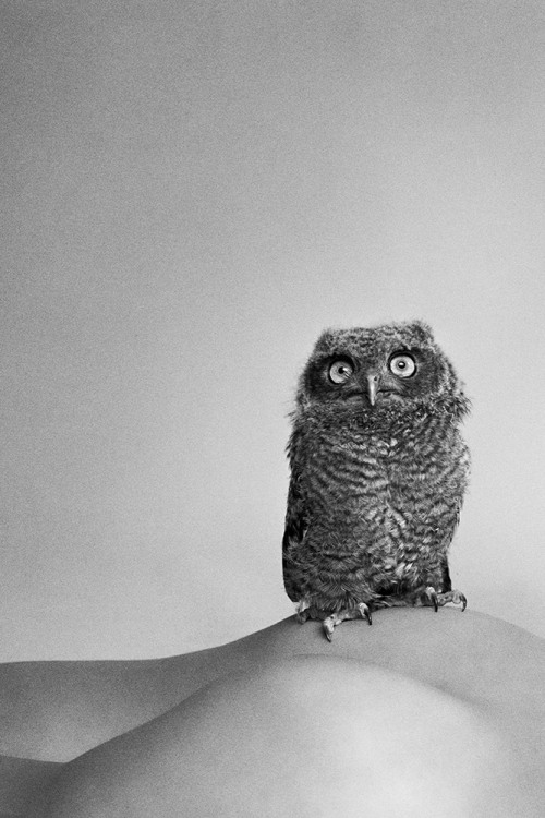 Ryan McGinley
