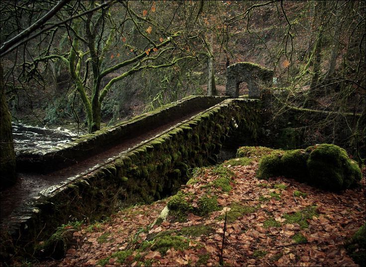 bonitavista:  The Hermitage Bridge, Scotland photo via darrell 