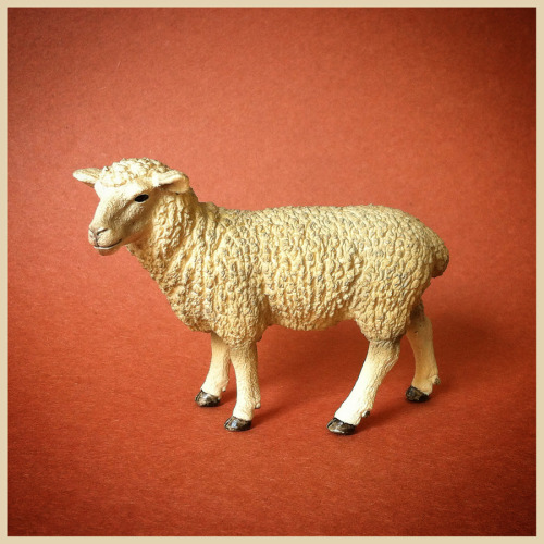 Sheep, Ewe, Schleich, 2014, ID 13743.