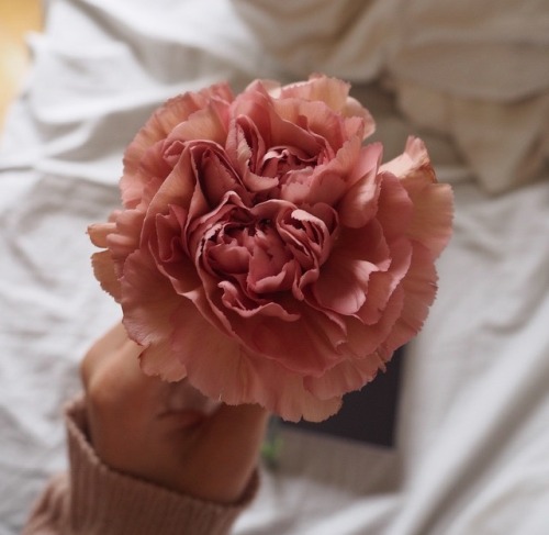 hxenestly: Have courage and be kind xx