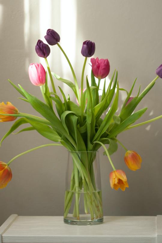 Kazza Fiori - Dicas: Como combinar as flores com o seu vaso?