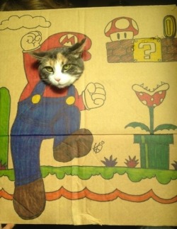 niknak79:  Super Cat Bros 