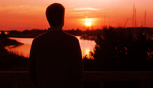 gregory-peck:All I know is… you’re beautiful.A Walk to Remember (2002) dir. Adam Shankman