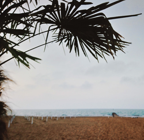 Lido di Jesolo, Veneto, Italy // april 2018 (x)