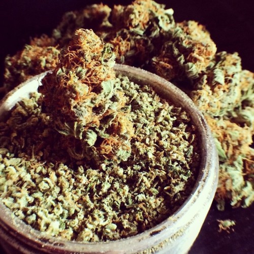 stoned-tattooed-nerd:  Weed + Amateur Photography = 😍 