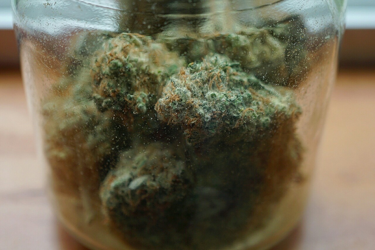 mice-teeth:  jar of danks 💣 