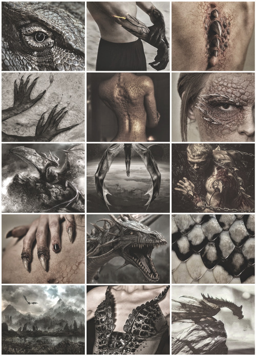 aestheticschaos: Dragon Shifters aesthetic