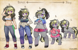  OC types- Mitternachtcommission for http://snugglybutt.deviantart.com/