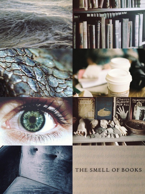 Ilvermorny Houses Aesthetics: