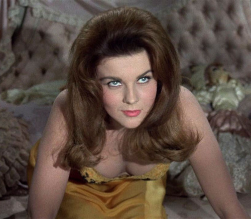 vavavoomrevisited:  sala66:  Ann-Margret en “El Rey del Juego”, 1965  In her film , the Cincinnati K