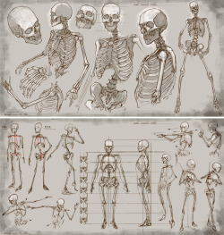 anatoref:  Skeletal AnatomyTop Image and Row 2Row 3Row 4: by   Johann Georg HeckRow 5: Left, Right (Nouvelles Tables Anatomiques by    Amé Bourdon)Row 6Row 7Bottom Image:  by Kyosai Kawanabe