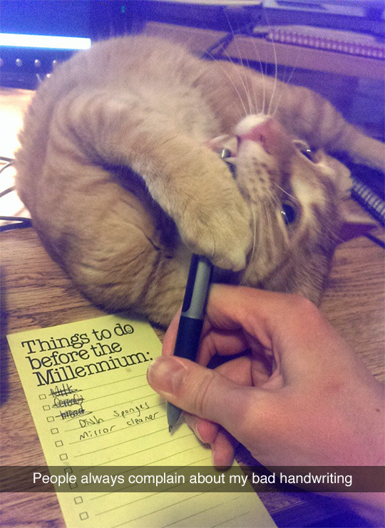 disgustinganimals:  it’s 2015.according to the title up top that means you have