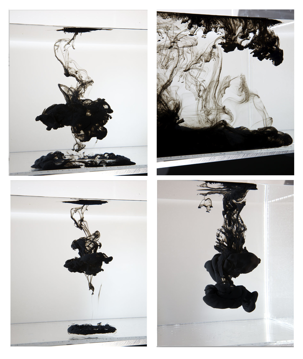 fer1972:  Black Dancer: Illustration and Photographic Ink Artwork by David Calluori