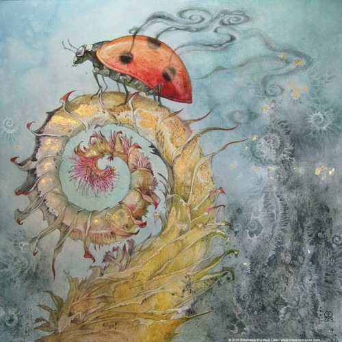 shadowscapes-stephlaw: #ladybug #ladybird #bug #insect #art #artwork #stephanielaw #stephaniepuimunl