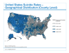 United States suicide rates by county, 2008-2014.