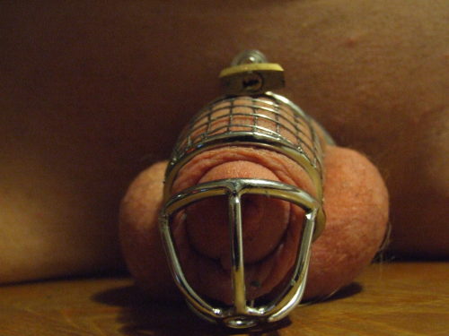 huskyfur:  Going on third day chastity; master will be happy. First time in chastity. How long will master make me stay caged for the first time? 