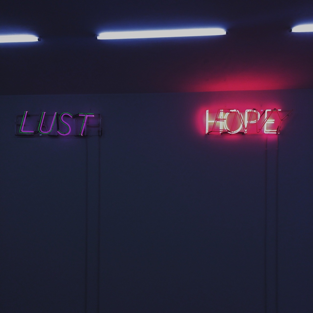 sensxal-bliss: