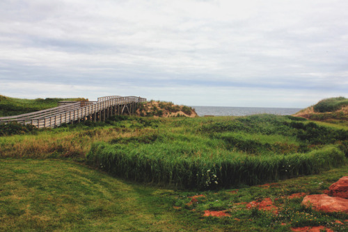 Prince Edward Island by ashleyDcrouseFacebook | tumblr | Shop | deviantART