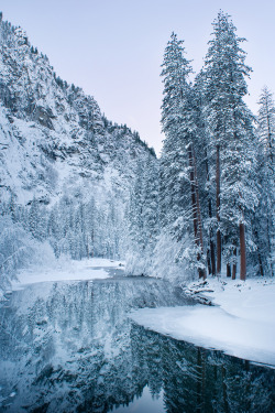 plasmatics-life:  Cedar lodge | By Molly Wassenaar 