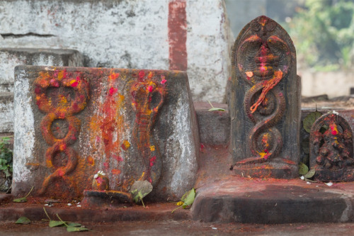 Nagakals (stone serpents) Srirangapatna, Karnataka, photos by Kevin Standage, more at https://kevins