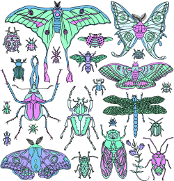 duskdesigns:  Insecta Pattern 