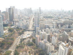 japan-overload:  東京タワーからの東京タワー ／ Tokyo Tower from Tokyo Tower by Active-U on Flickr.