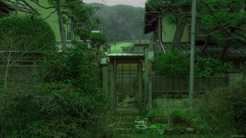 liamwon9: Matcha green forests in Kyoto, Japan Liam Wong / www.twitter.com/liamwong