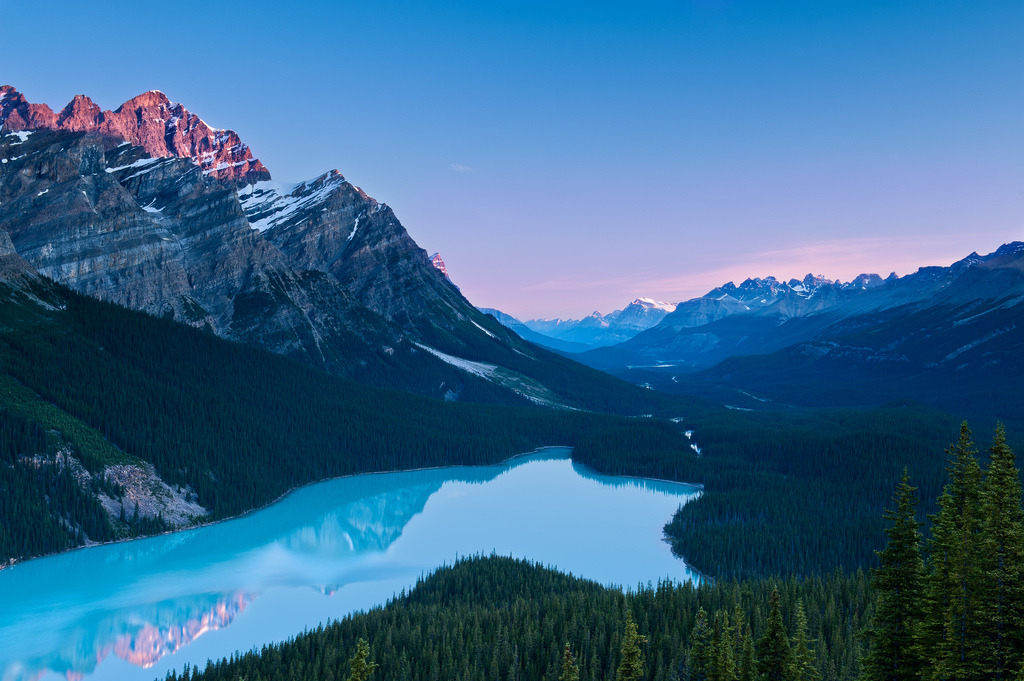 owakolf:  Nature Blog ▲Follow ninepulse for interesting, amazing, informative