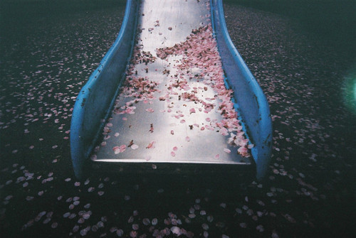 zuzia-jest-fajna:  Nice na We Heart It. 