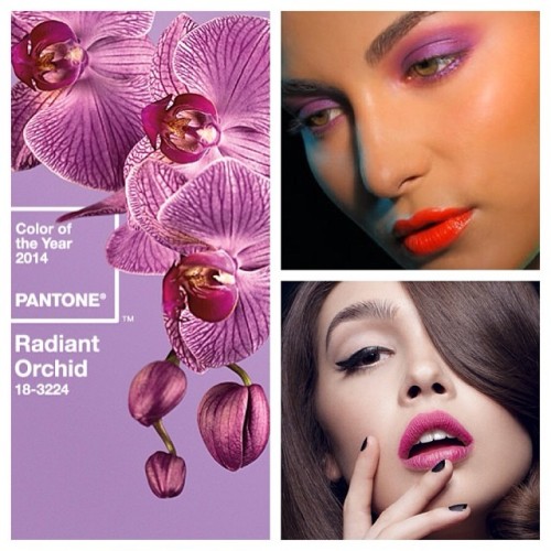 I love working with #pantone’s color of the year. It’s great on lips, eyes, nails and cheeks!! Makeup and hair my me! #makeup #makeupartist #models #nails #lipstick #eyeshadow #nails