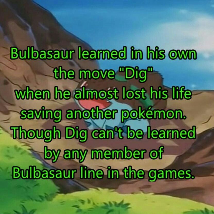 corsolanite:  bulbasaur-propaganda:  Some facts you need to know about the greatest