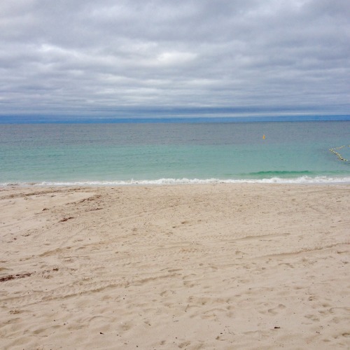 dianetti:cloudy beaches and books i need to read 