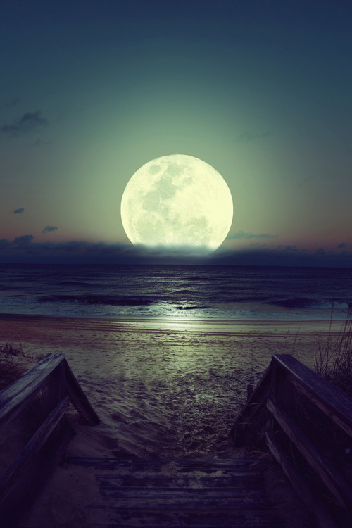 silly-luv:  ♡ find your best posts on my blog ♡