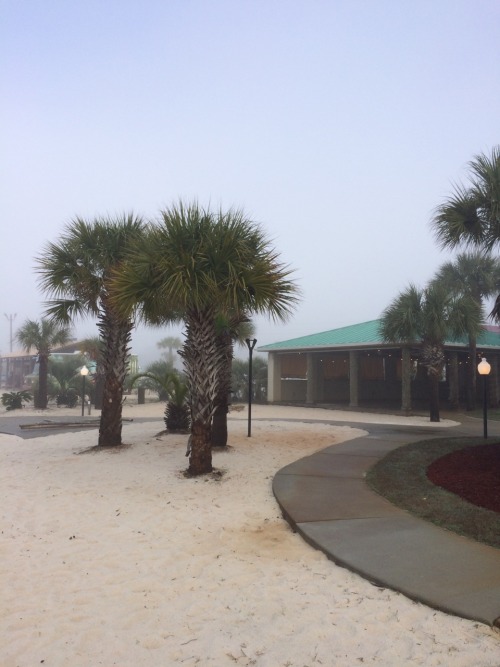 good morning from FL- our hotel looked like the edge of the universe this morning