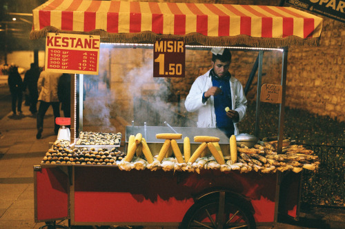 Mr Kestane and Mısır (Some rights reserved by Primus Singularis) | Creative Commons License BY-NC-SA